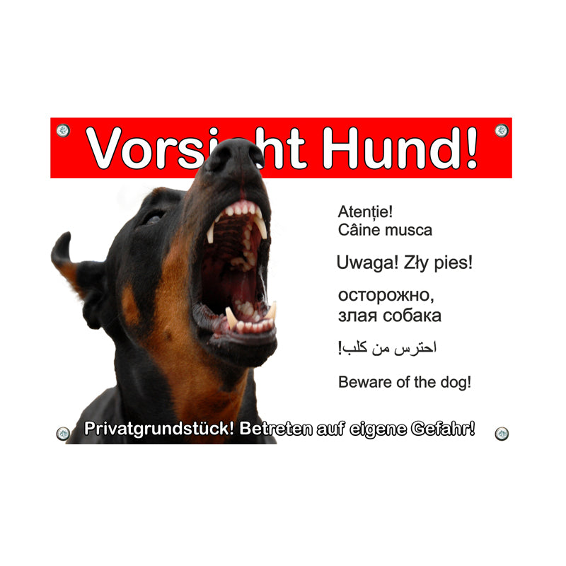 Dobermann - Privatgrundstück