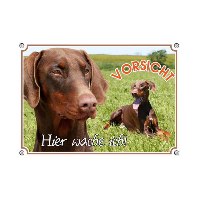 Dobermann - Hier wache ich