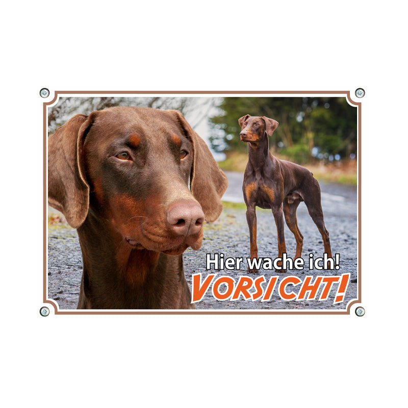 Dobermann - Hier wache ich