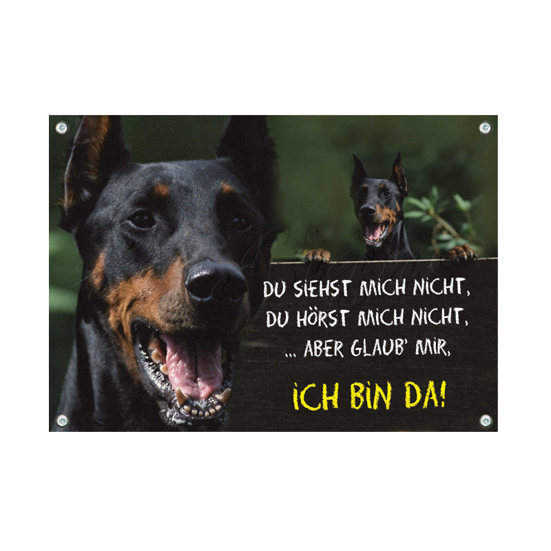 Dobermann - ich bin da