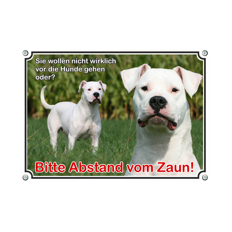 Dogo Argentino - Abstand vom Zaun