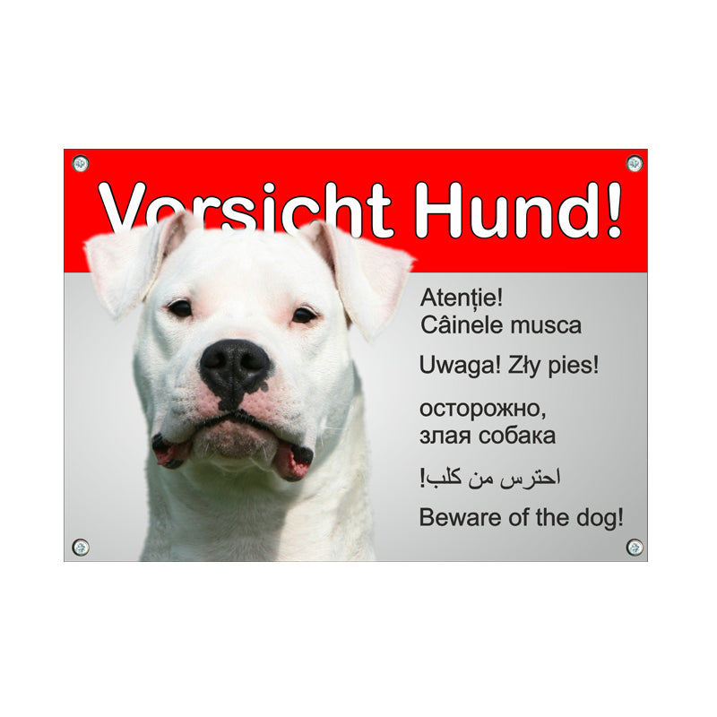 Dogo Argentino - Vorsicht Hund
