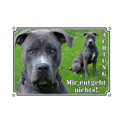 Dogo Canario - Mir entgeht nichts – Hundeschild aus Aluminium