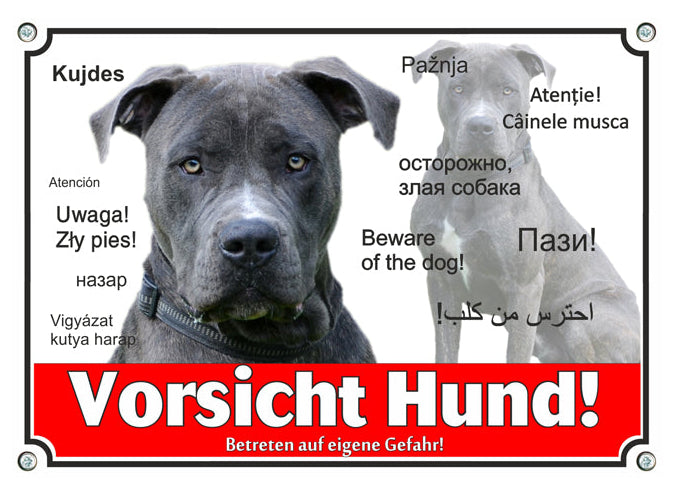 Dogo Canario - Vorsicht Hund