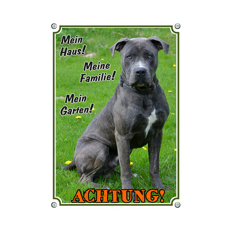 Dogo Canario - Mein Haus