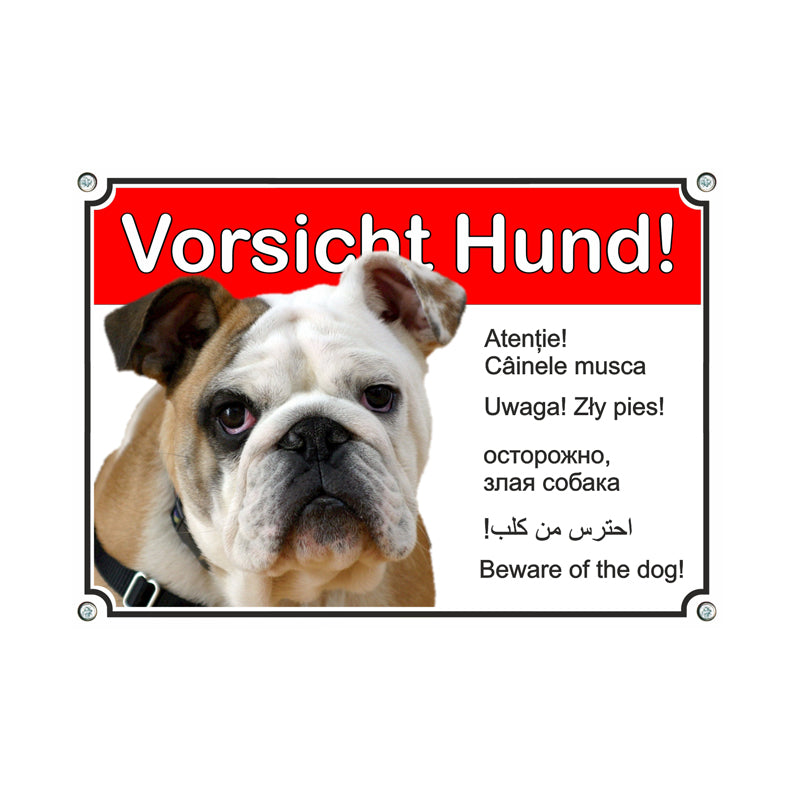 Englische Bulldogge - Beware of the Dog