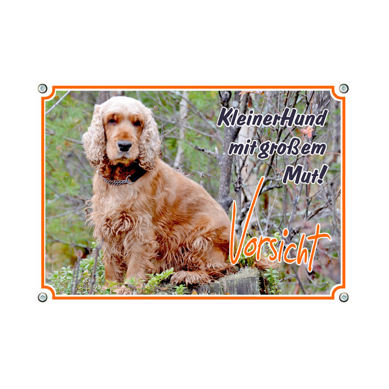 Englischer Cocker Spaniel - Kleiner Hund