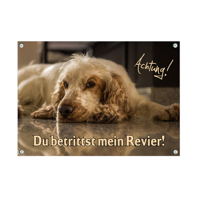 Englischer Cocker Spaniel - Du betrittst mein Revier – Hundeschild aus Aluminium