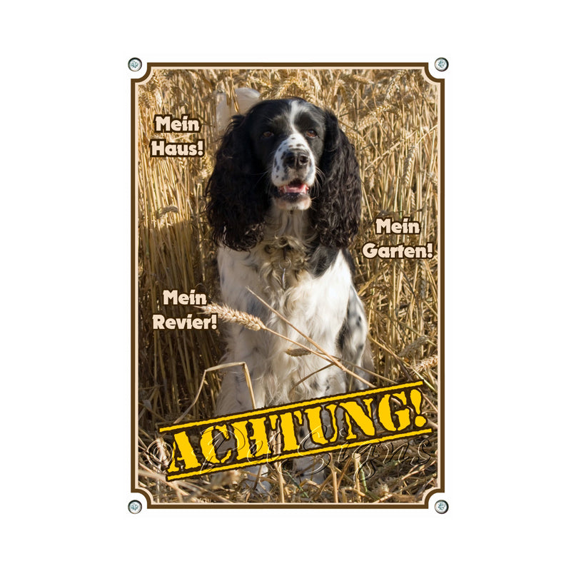 English Springer Spaniel - Mein Haus