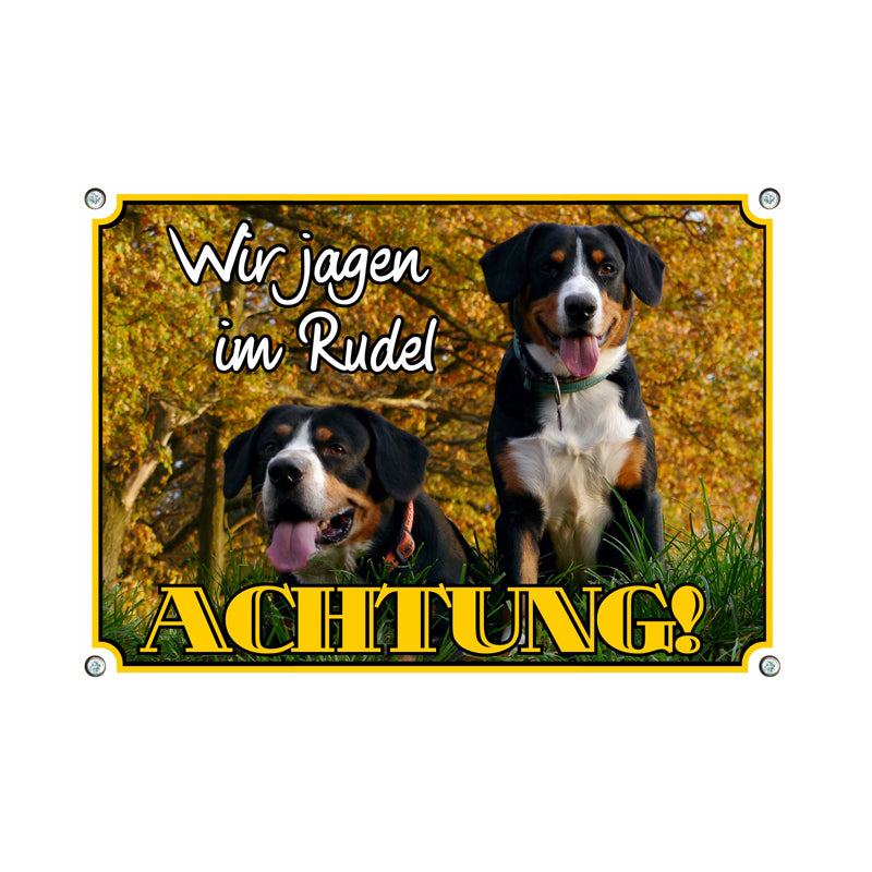 Entlebucher Sennenhund - Wir jagen im Rudel