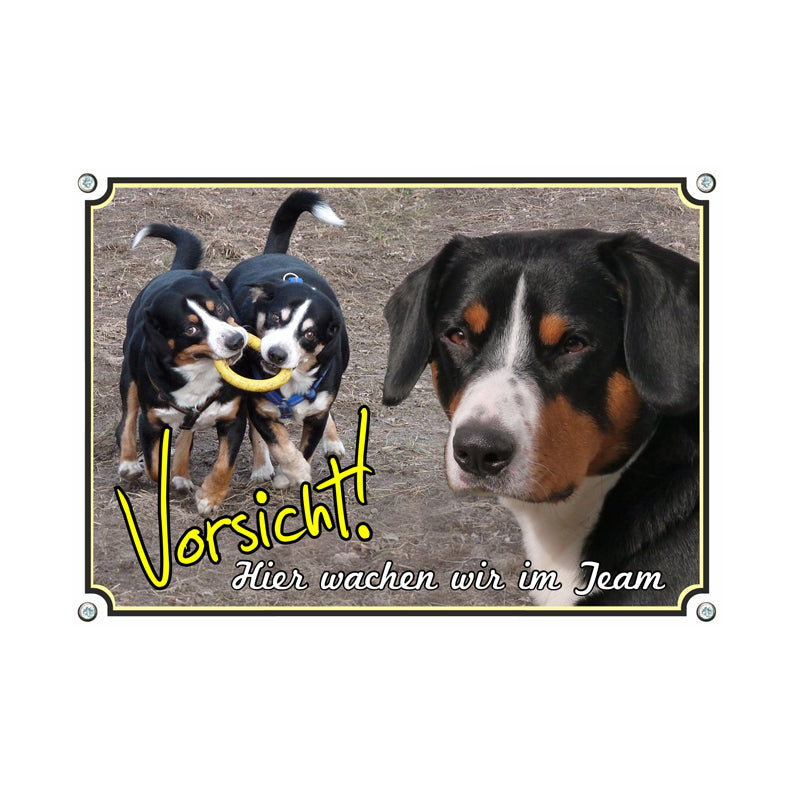 Entlebucher Sennenhund - Hier wachen wir