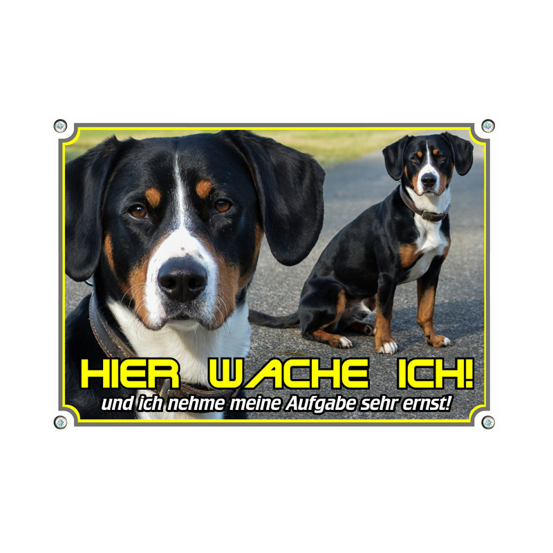 Entlebucher Sennenhund - meine Aufgabe