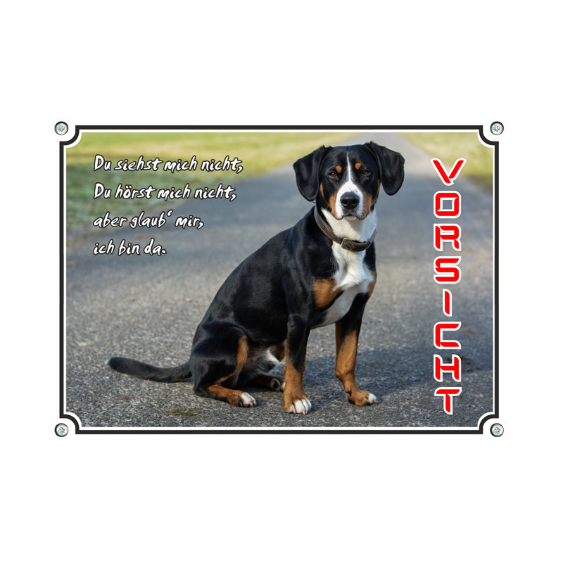 Entlebucher Sennenhund - Du siehst mich nicht