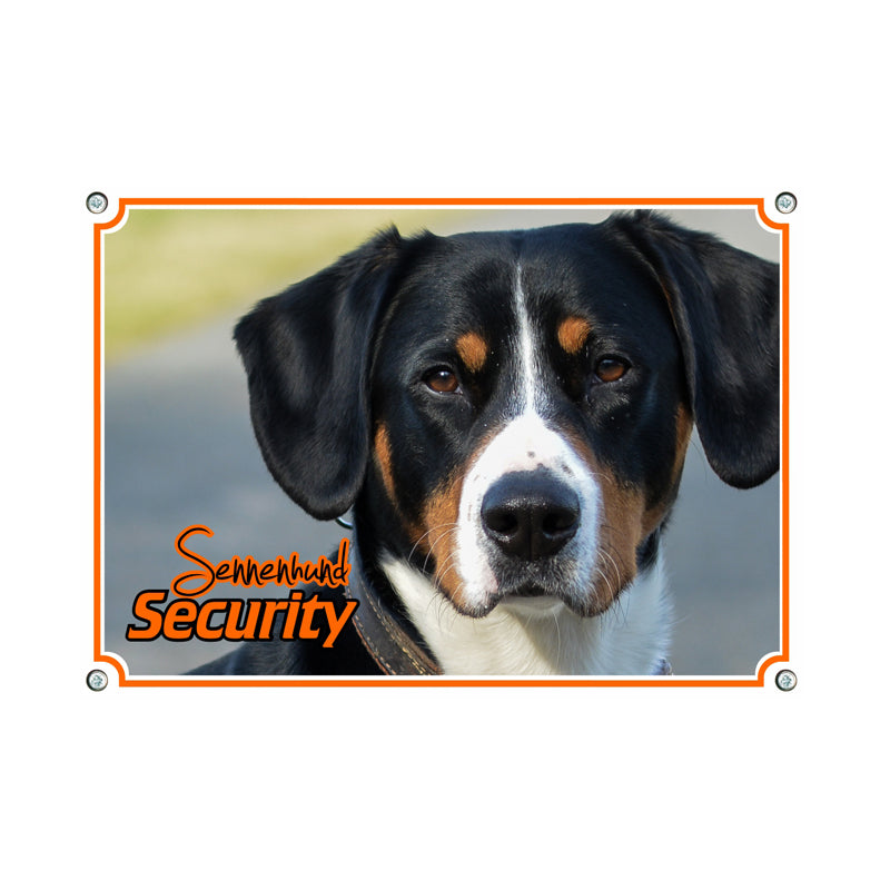 Entlebucher Sennenhund - Security