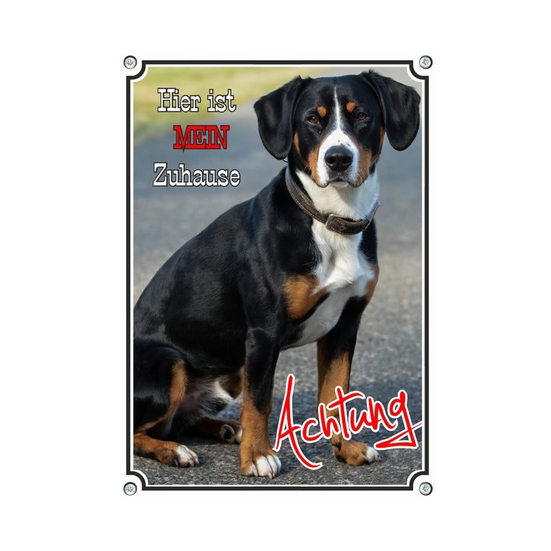 Entlebucher Sennenhund - Mein Zuhause