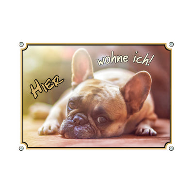 Französische Bulldogge - Hier wohne ich – Hundeschild aus Aluminium