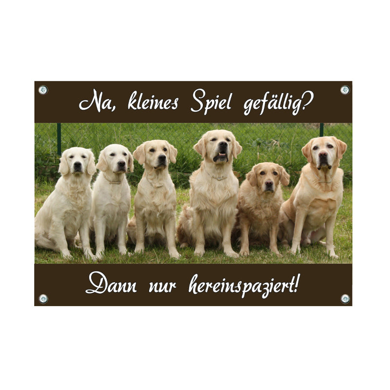 Golden Retriever - Kleines Spiel