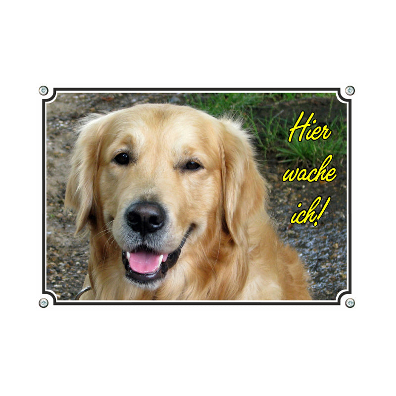 Golden Retriever - Hier wache ich