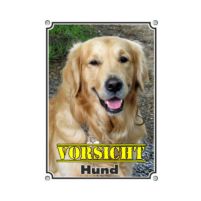 Golden Retriever - Hund