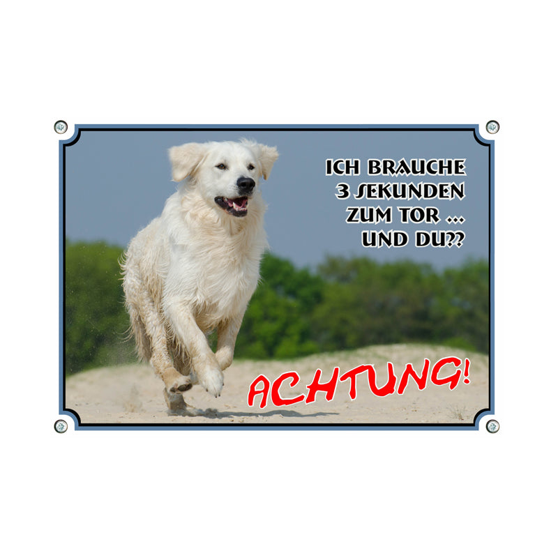 Golden Retriever - 3 Sekunden