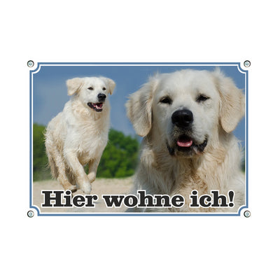 Golden Retriever - Hier wohne ich – Hundeschild aus Aluminium