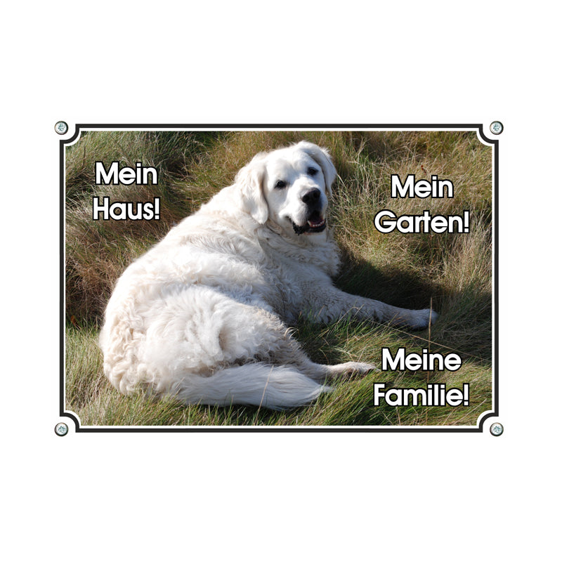 Golden Retriever - Mein Garten