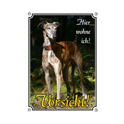Greyhound - hier wohne ich – Hundeschild aus Aluminium