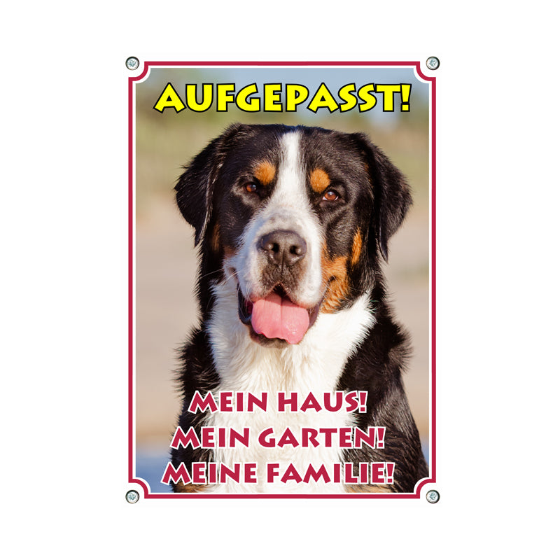 Großer Schweizer Sennenhund - Aufgepasst