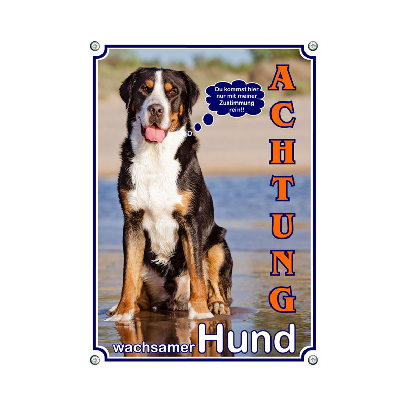 Großer Schweizer Sennenhund - Wachsamer Hund