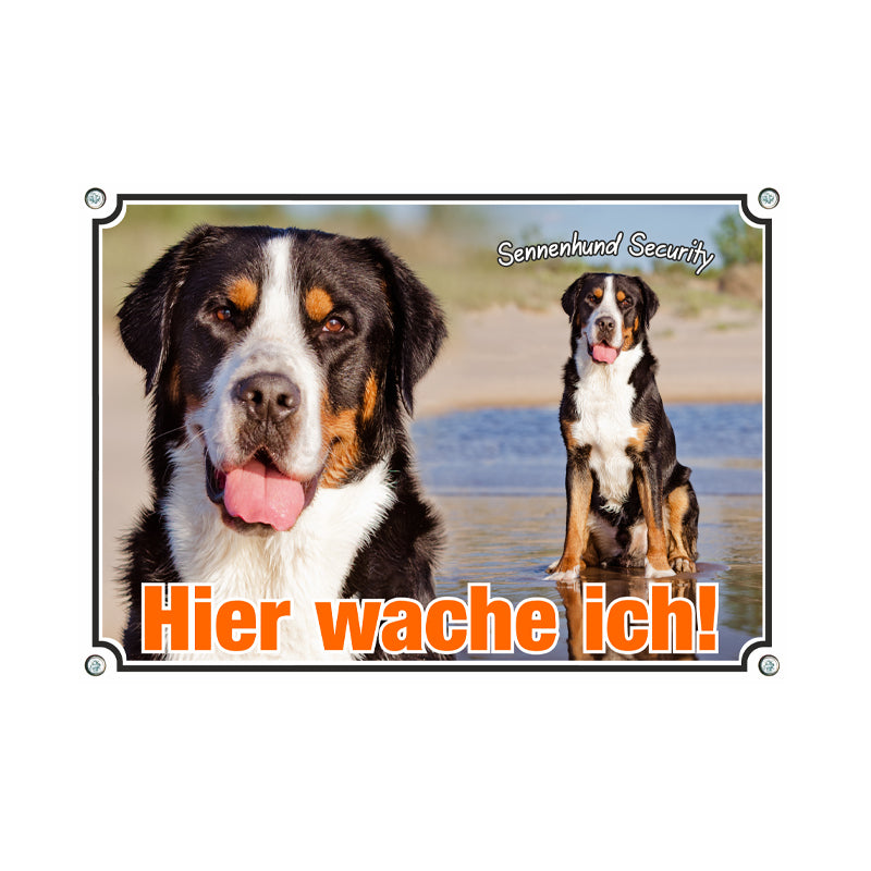 Großer Schweizer Sennenhund - Hier wache ich