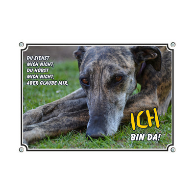 Galgo - Ich bin da – Hundeschild aus Aluminium