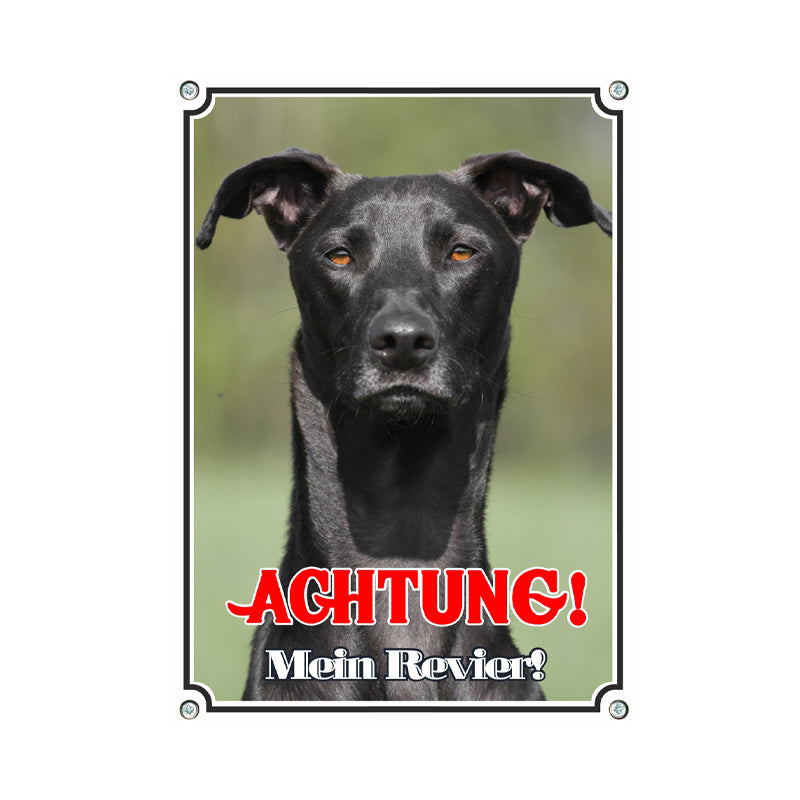 Galgo - Mein Revier