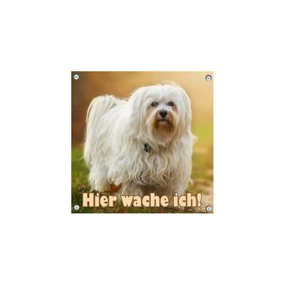 Havaneser - Hier wache ich – Hundeschild aus Aluminium