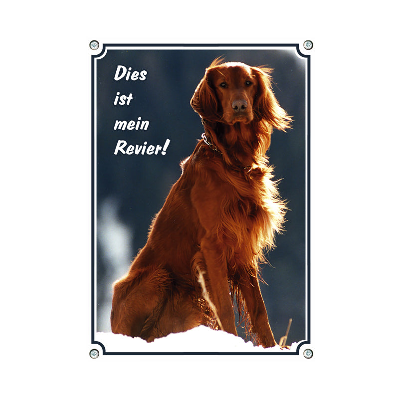 Irish Red Setter - Mein Revier