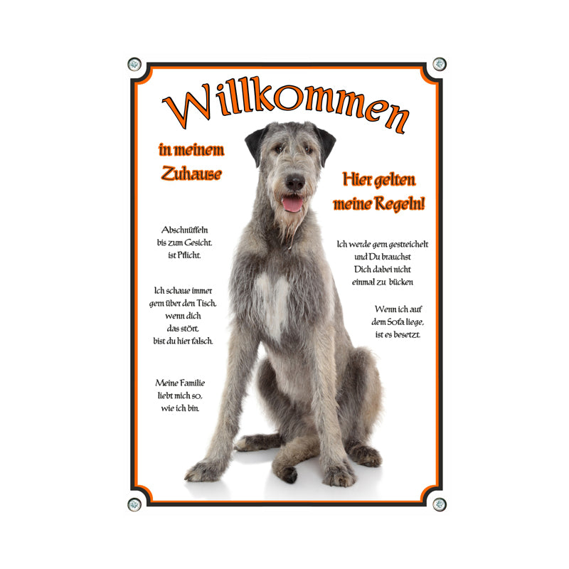 Irischer Wolfshound - Willkommen