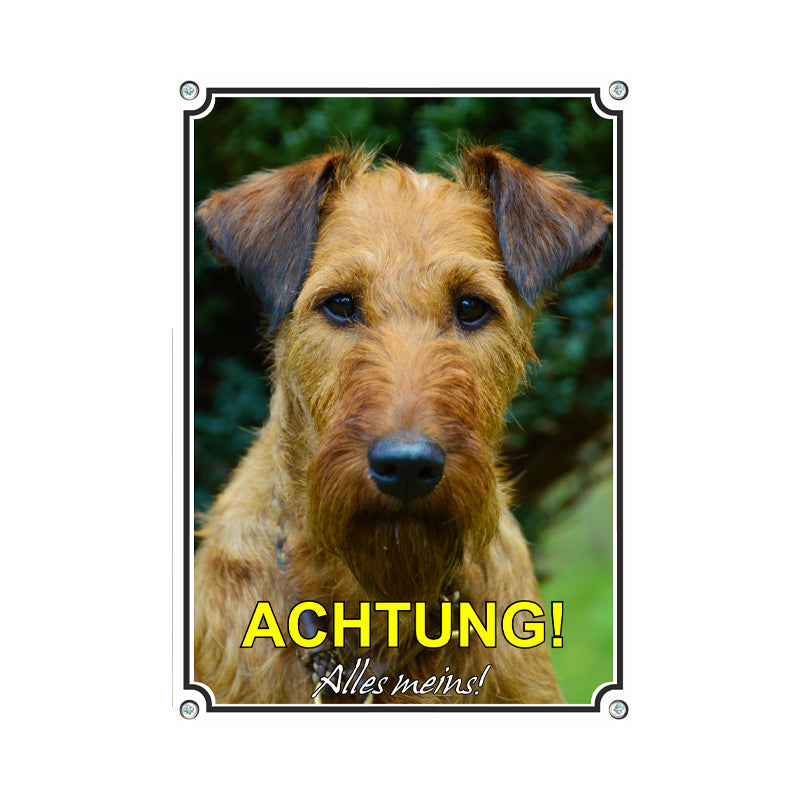 Irish Terrier - Achtung