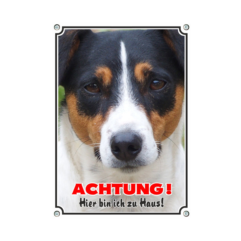 Jack Russell Terrier - Hier bin ich zu Haus