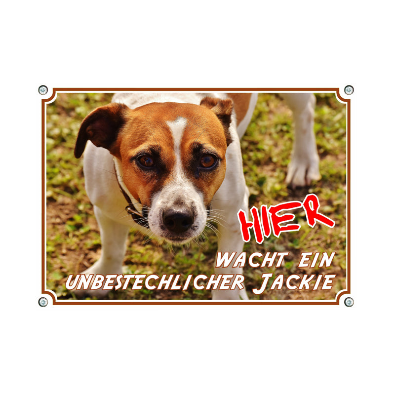 Jack Russell Terrier - unbestechlich
