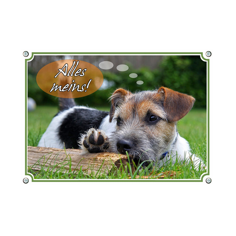 Jack Russell Terrier - Alles meins