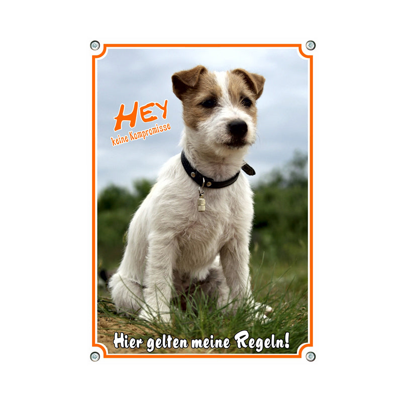 Jack Russell Terrier - Meine Regeln