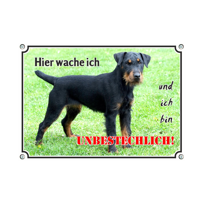 Jagdterrier - Hier wache ich