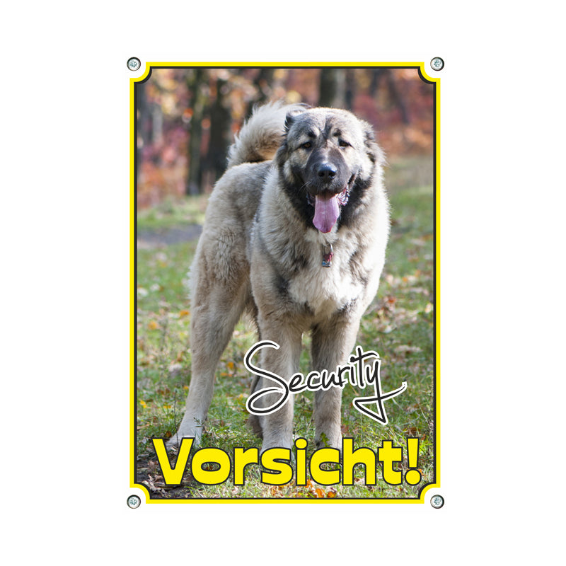 Kaukasischer Owtscharka - Security