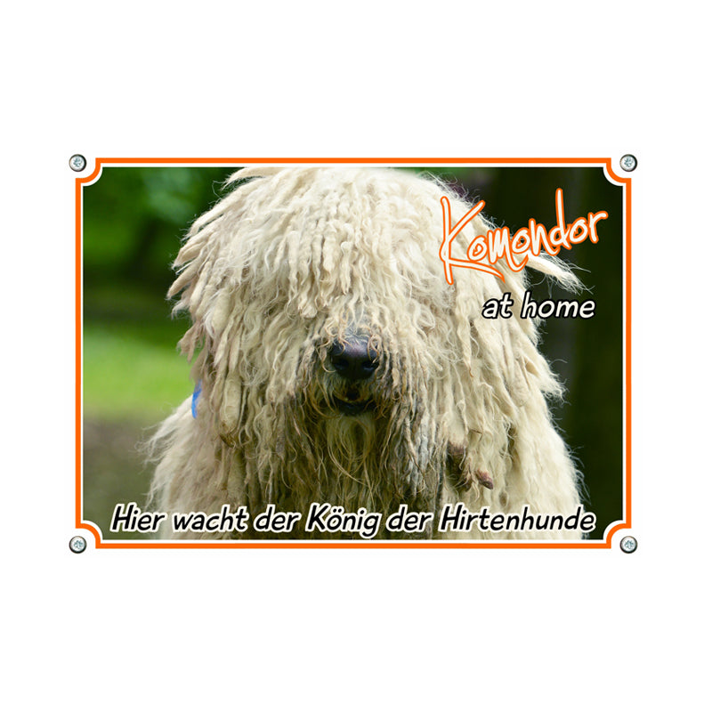 Komondor - Hier wacht