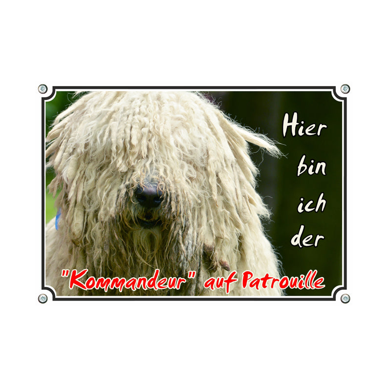 Komondor - Kommandeur