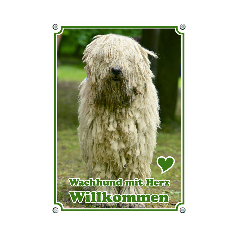 Komondor - Wachhund mit Herz
