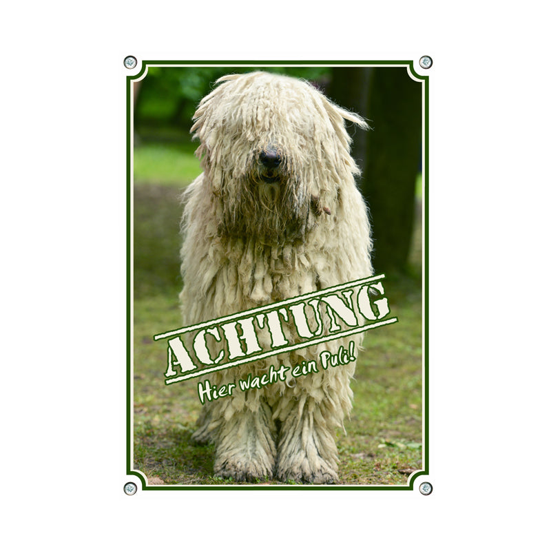 Komondor - Achtung