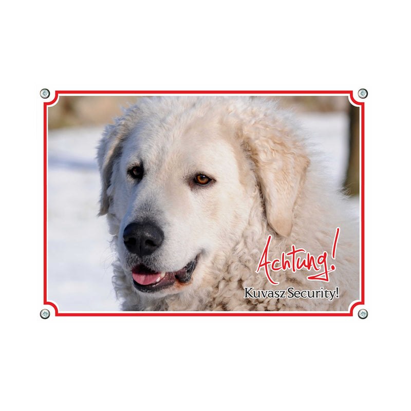 Kuvasz - Achtung