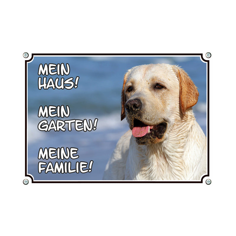 Labrador blond - Mein Haus