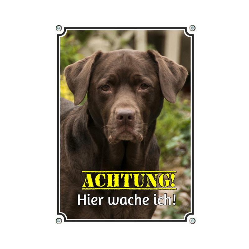 Labrador Retriever - Hier wache ich