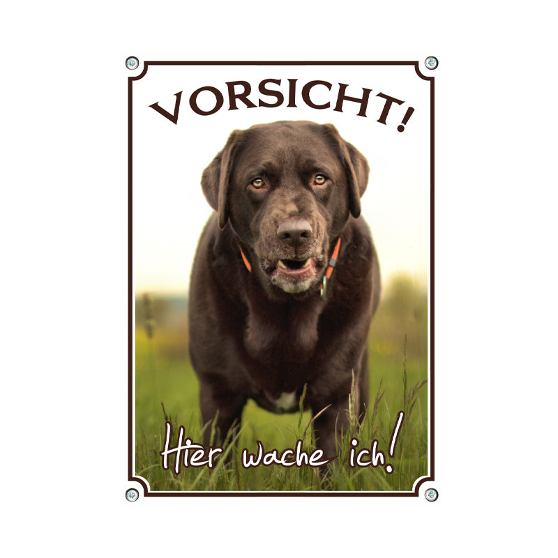 Labrador Retriever - Hier wache ich